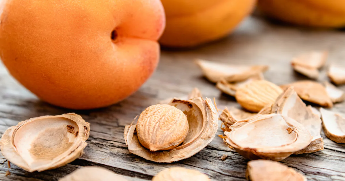 Peach Seeds Are Poisonous – What You Need to Know