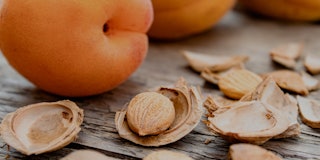 Apricot and apricot seeds on the background of old boards. Apricot pits for the manufacture of table...