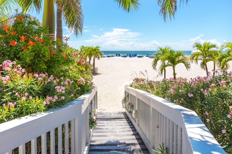 Make your spring break 2022 unforgettable with these Florida captions for Instagram.