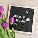 Text  Spring in the air on  letter board and bouquet of  purple Tulips flowers. Concept Springtime m...