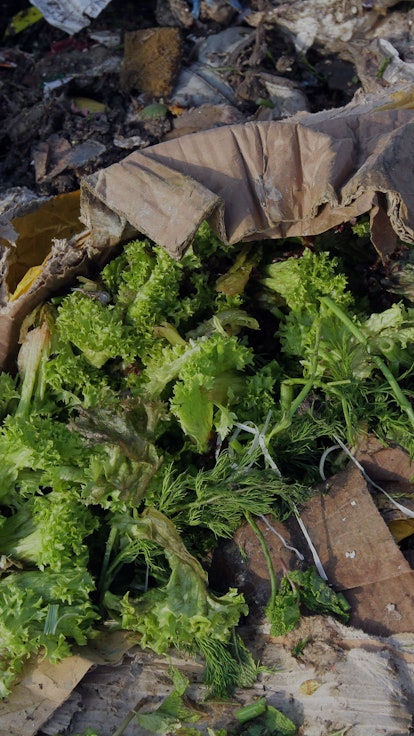 Salad leaves are seen among waste at a landfill in Dnipro, central Ukraine.