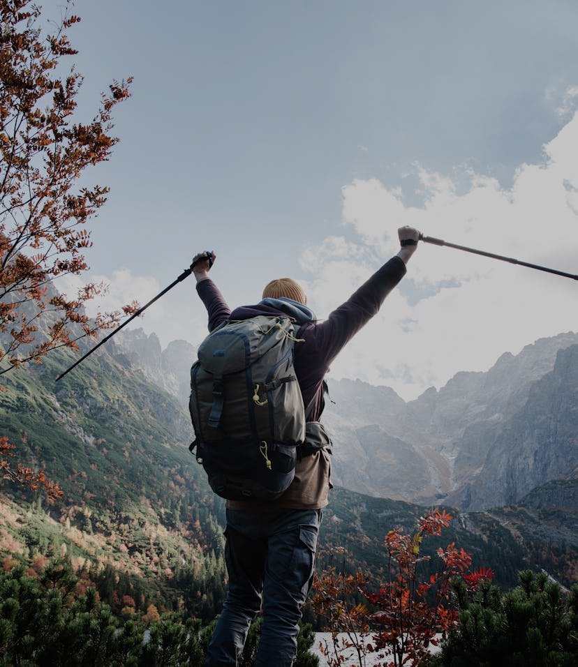 Concept of the goal achieving. Hiker reach beautiful mountain lake and raise the hands up with hiki...