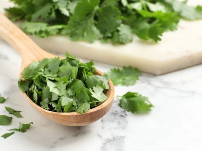 Cut fresh green cilantro and wooden spoon on white marble table, closeup. Space for text