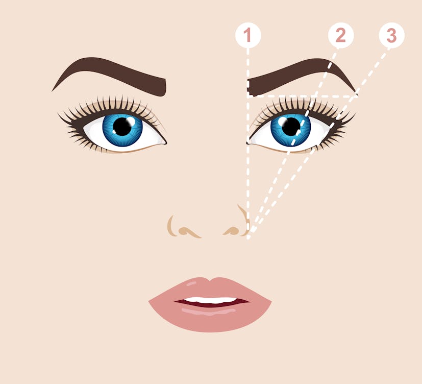 Experts recommend eyebrow mapping before you thin out your brows.