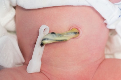 Babies don't feel the umbilical cord cut and clamped right after birth 