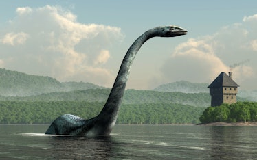Mokele Mbembe: Is a Dinosaur Living in the Congo? - Exemplore