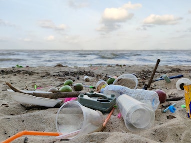 Beach pollution. Plastic bottles and other trash on sea beach. Ecological concept. earth day concept...