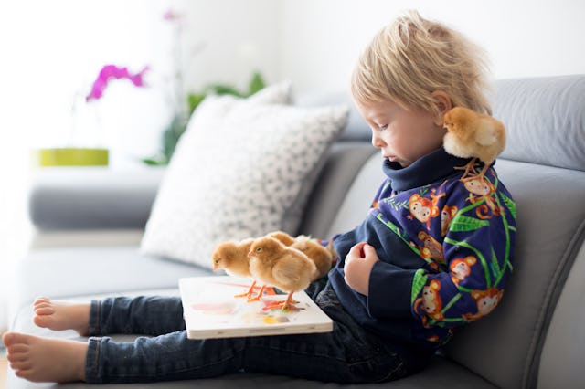 Little toddler child, blond boy, reading book with sweet chicks around him