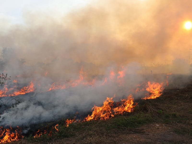 Burning fires cause pollution and carbon dioxide. And cause global warming