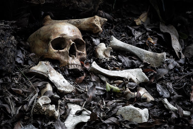 The skull and pile of bone on decay leaf in pit the old graveyard whith has dim light and dark  / Se...