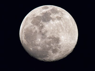 nightly sky with large full moon