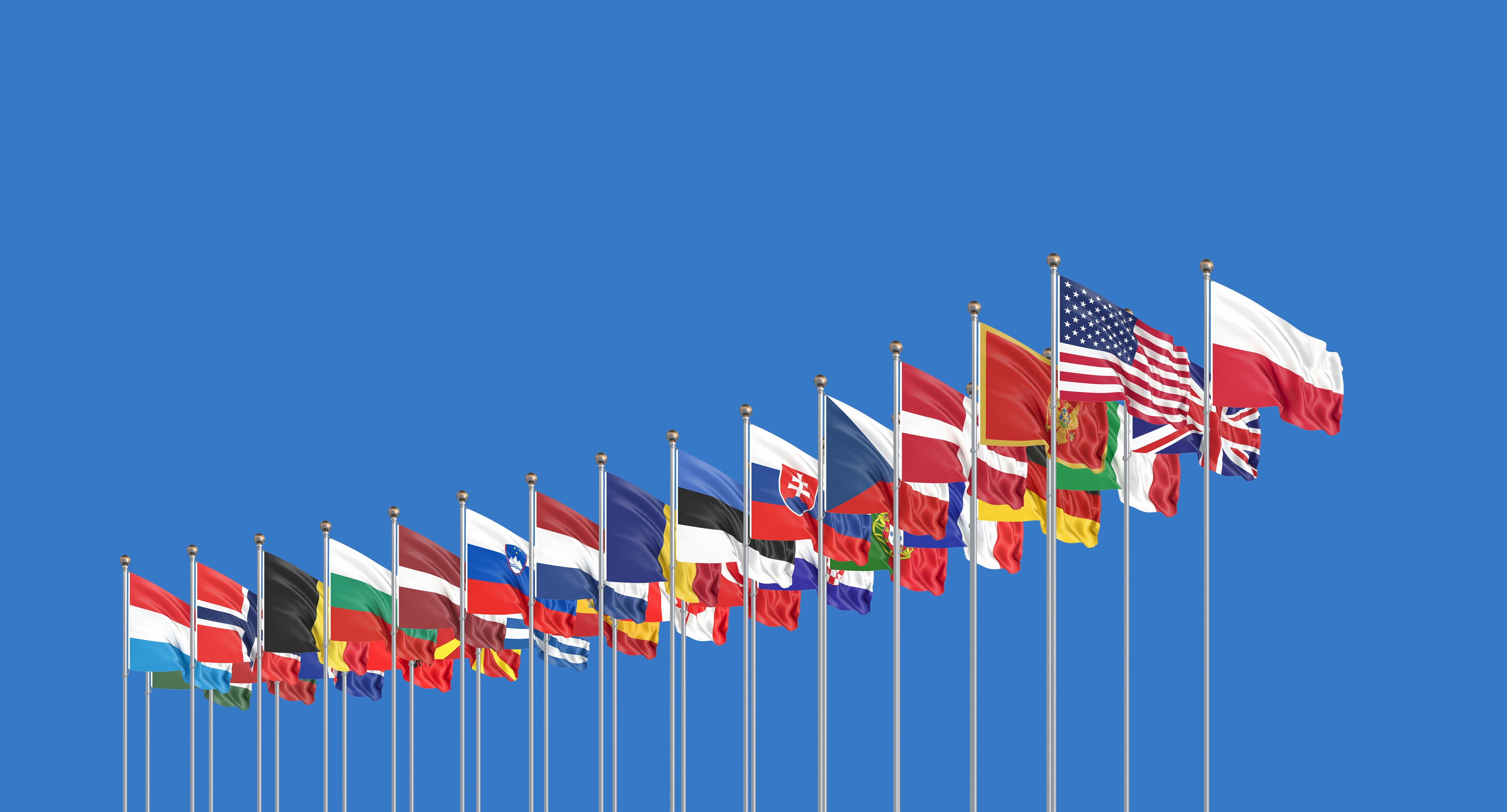 The 30 waving Flags of NATO Countries - North Atlantic Treaty. Isolated on sky background  - 3D illu...
