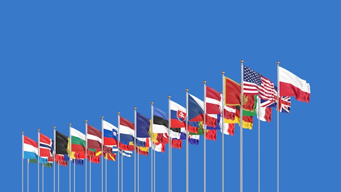 The 30 waving Flags of NATO Countries - North Atlantic Treaty. Isolated on sky background - 3D illu...