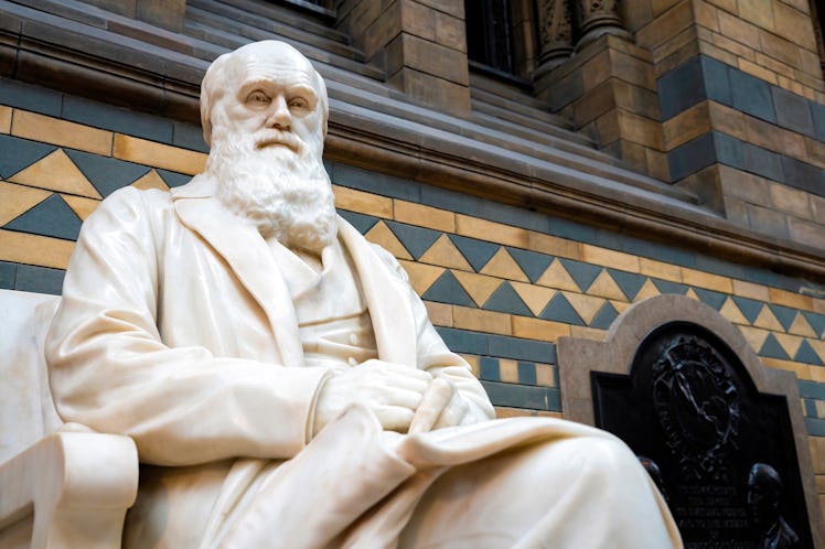 Statue of Charles Robert Darwin was an English naturalist and biologist in Natural History Museum. L...