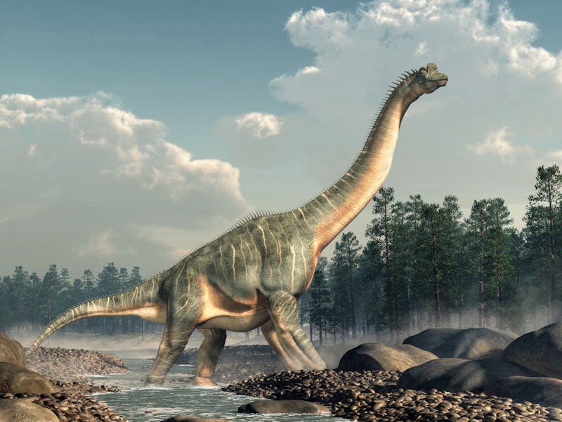 Brachiosaurus was a sauropod dinosaur, one of the largest and most popular. It lived in during the L...