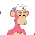 Bored ape NFT collection set isolated on white background. Custom monkey vector illustration