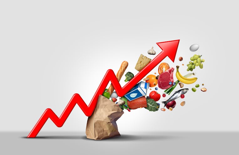 Rising food cost and grocery prices surging costs of supermarket groceries as an inflation financial...