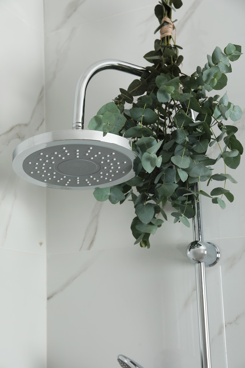 Using eucalyptus in the shower is easy. From homemade bunches and steamers, to bath bombs and salts,...