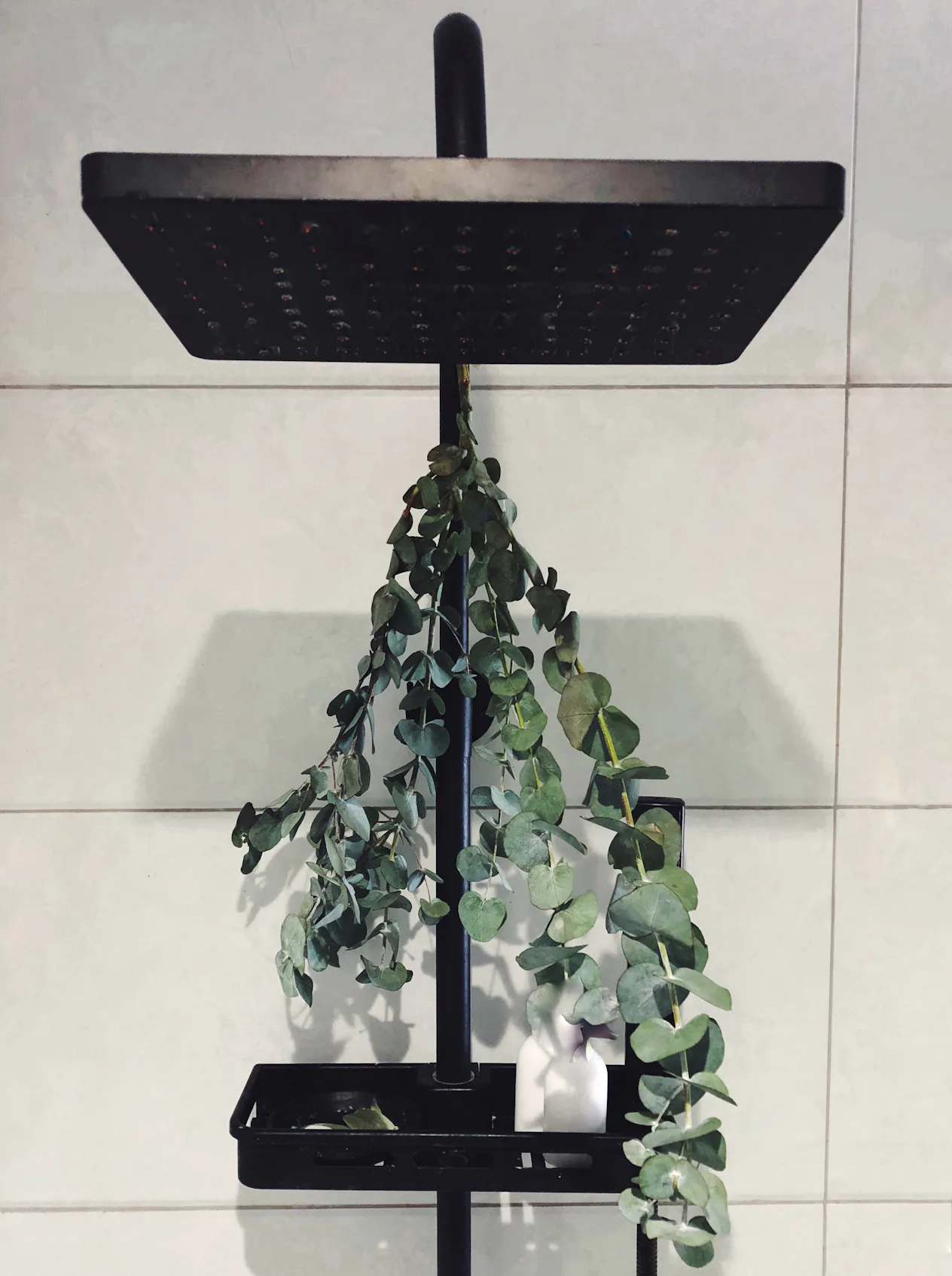 How To Use Eucalyptus In The Shower, From Bundles To Steamers