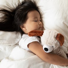 Close up top view lying in bed toddler asian girl hugs her favorite plush animal dog toy sleeping ca...