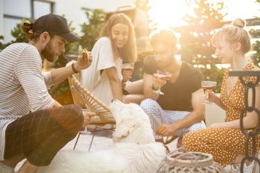 Young friends hanging out together, sitting with a dog, drinking wine and talking. People spending s...