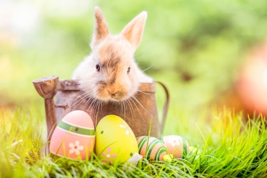 According to popular legend, the Easter Bunny may live on Easter Island.
