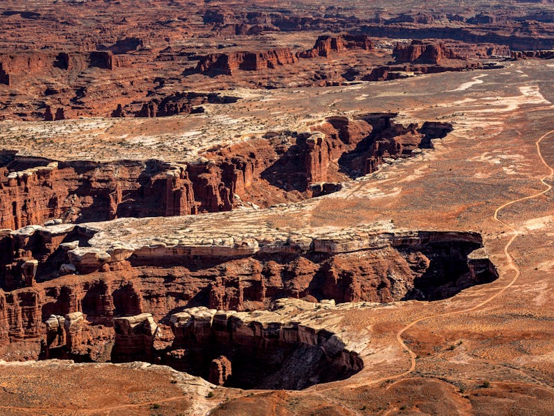 Elevated view of Monument Basin and White Rim from Grand View Point Overlook, Island in the Sky Dist...