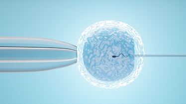 Ovum with needle for artificial insemination or in vitro fertilization. 3D Illustration Rendering.
