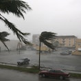 Hurricane Winds Pound Miami As Hurricane Wilma Makes Its Way Across Southern Florida Tmonday 24 Octo...