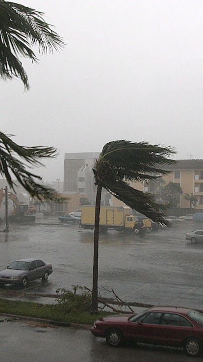 Hurricane Winds Pound Miami As Hurricane Wilma Makes Its Way Across Southern Florida Tmonday 24 Octo...