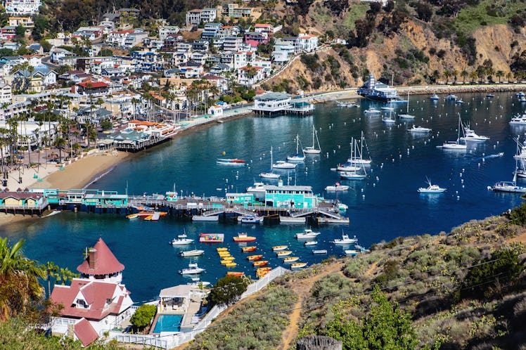 Avalon harbor on Catalina Island, which is one of the best memorial day weekend trips in Southern Ca...