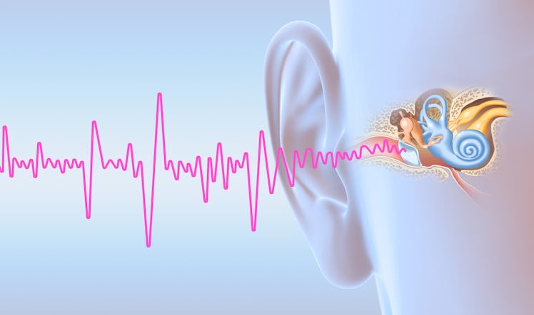 Tinnitus and human ear with middle ear, otitis, auditory canal, tympanic membrane, auditory canal an...