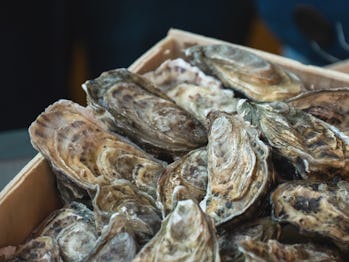 Oysters on the counter in wooden boxes on the market. Oysters for sale at the seafood market. Fish m...