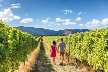 Vineyard couple tourists at Napa Valley, which is one of the best summer travel ideas for couples.
