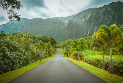 Baecation ideas for summer include Ho'omaluhia Botanical Park at Oahu Island in Hawaii, United State...