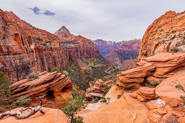 Hiking at Zion National Park, Utah, USA is one of the summer vacation ideas for couples who are adve...