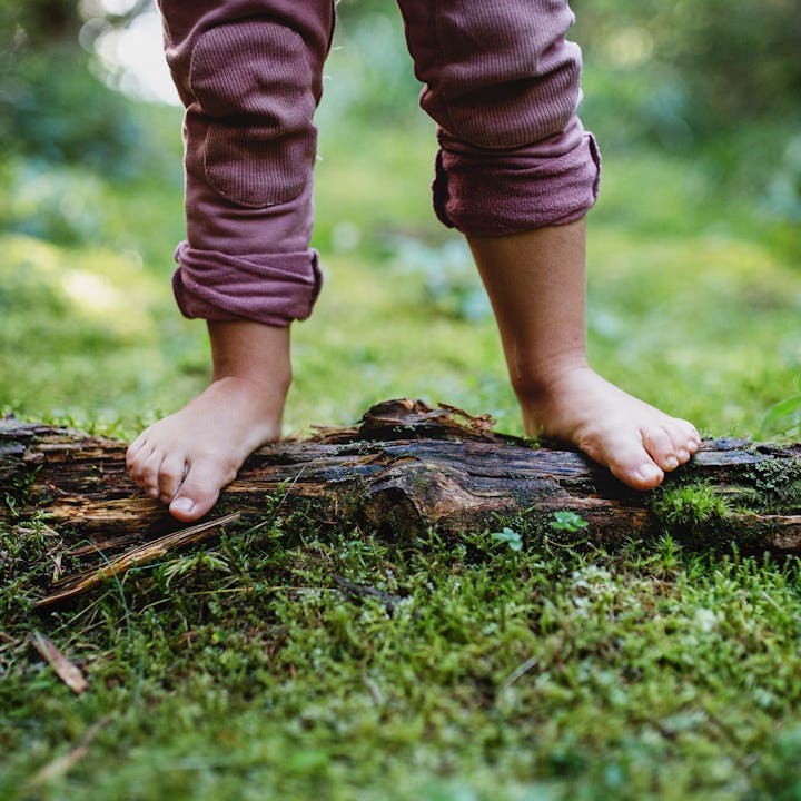 Bare feet of small child standing barefoot outdoors in nature, grounding concept.