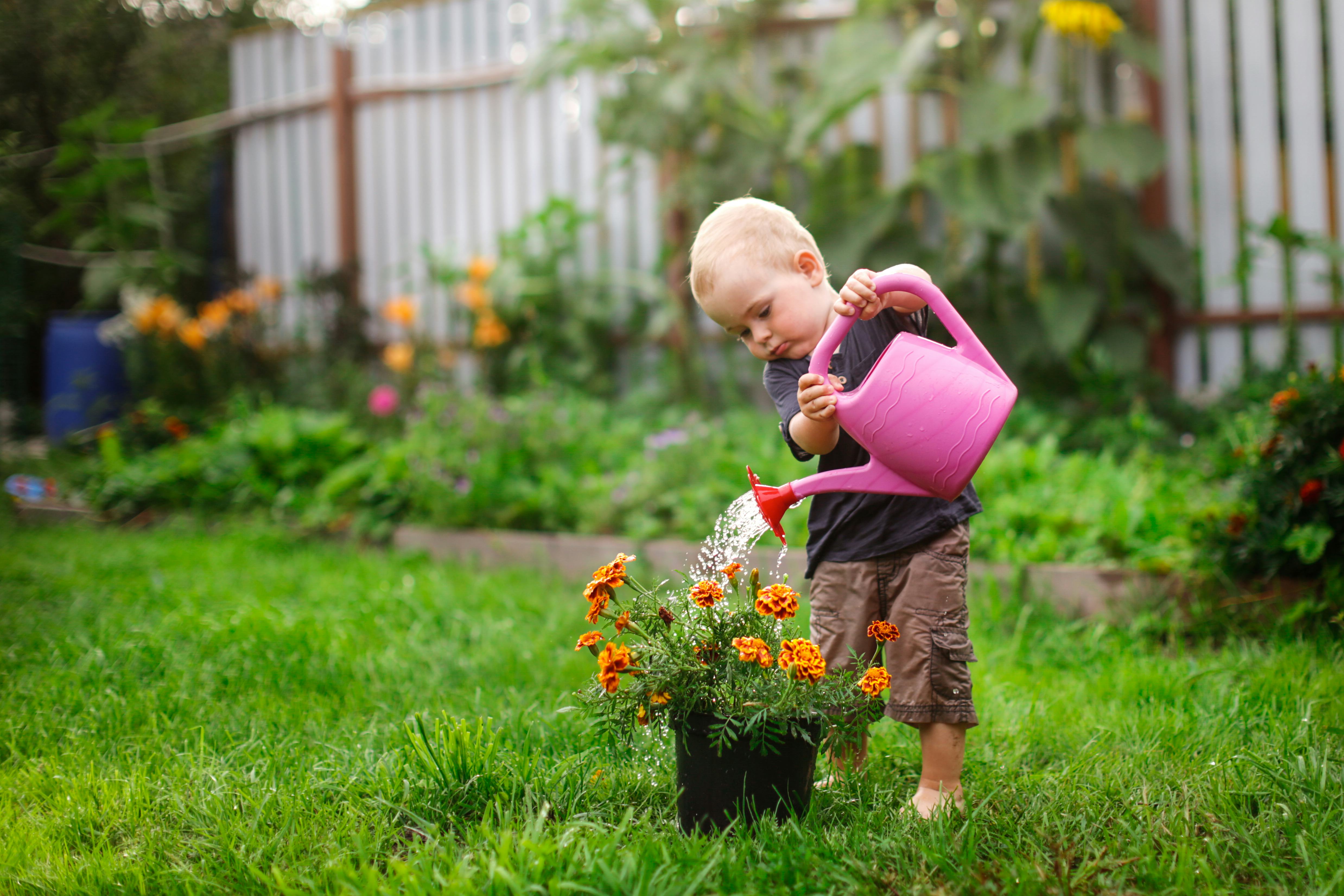 toddler gardening, easy-to-grow garden flowers
