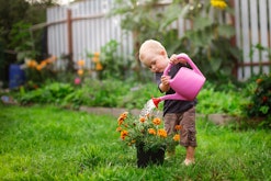 toddler gardening, easy-to-grow garden flowers