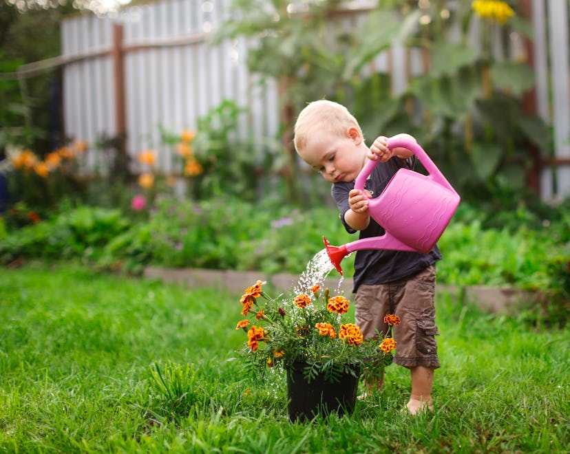 toddler gardening, easy-to-grow garden flowers