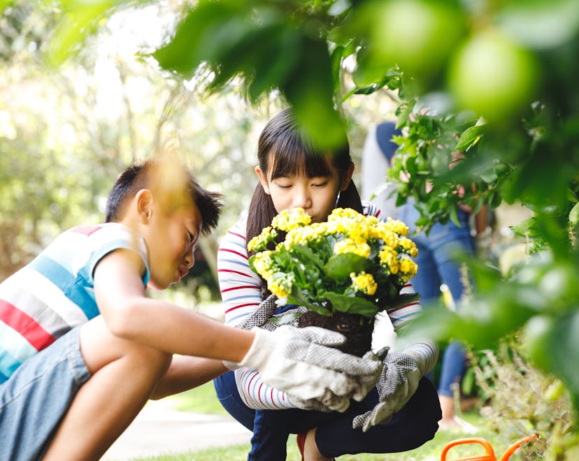 kids gardening, easy-to-grow garden flowers
