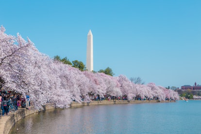 Washington, D.C. is one of the most walkable cities to visit in the U.S.