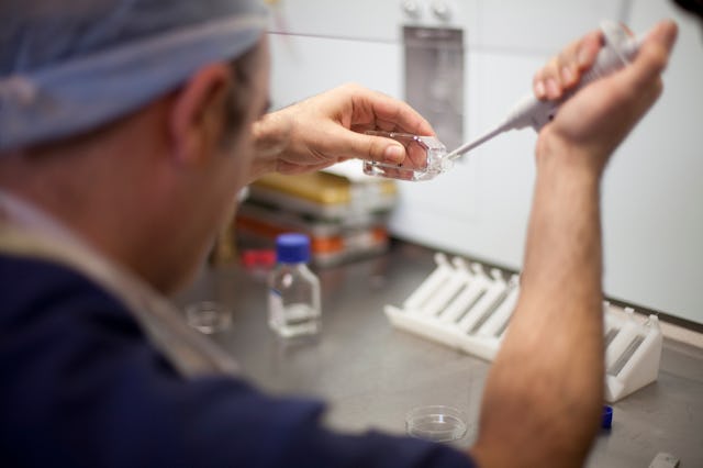 in vitro fertilization IVF laboratory embryo biotechnology fertility treatment, egg freezing