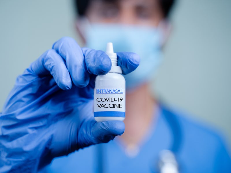 Close up Hands of Doctor or nurse holding Intranasal vaccine spary bottle for coronavirus or covid-1...