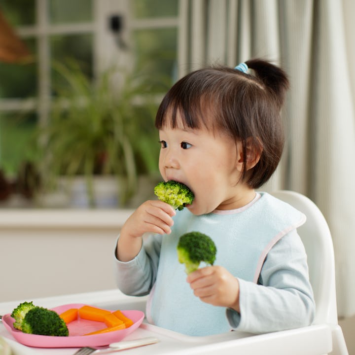 toddler girl eating healthy vegetable sitting on high chair beside a dinner table at home