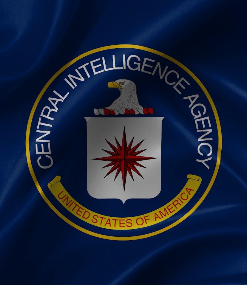 flag of the us central intelligence agency country symbol illustration