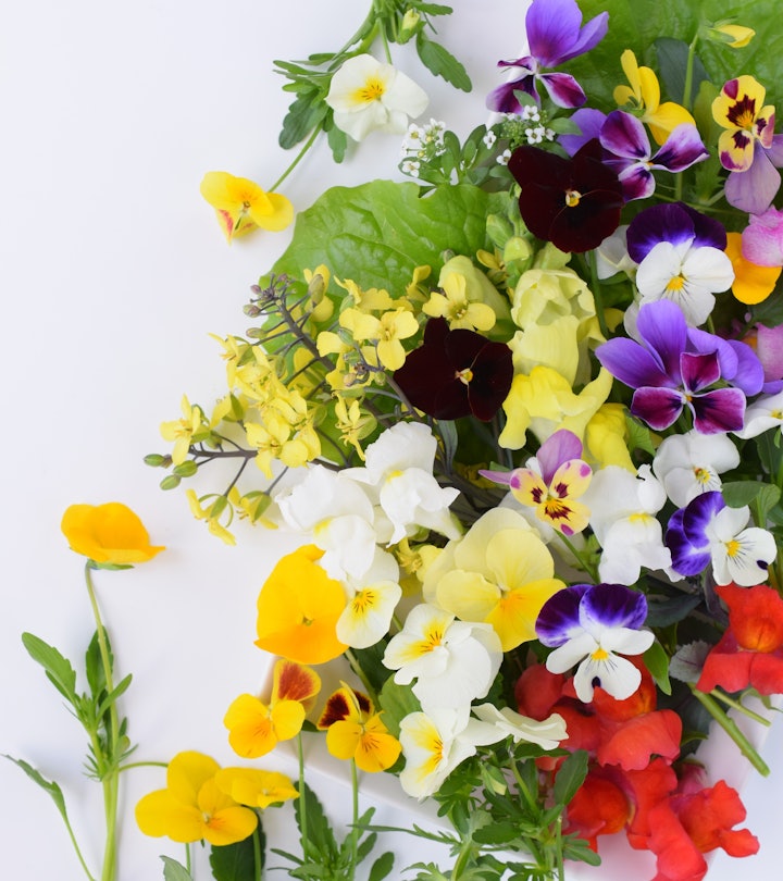 Edible flowers on white background.