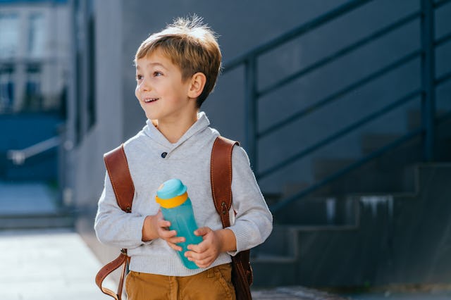 Portrait of a cute boy who is going to school with his school backpack. Boy student on the way to sc...