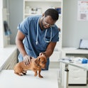 How often you should take your dog to the vet depends on myriad factors, including your pup's age.