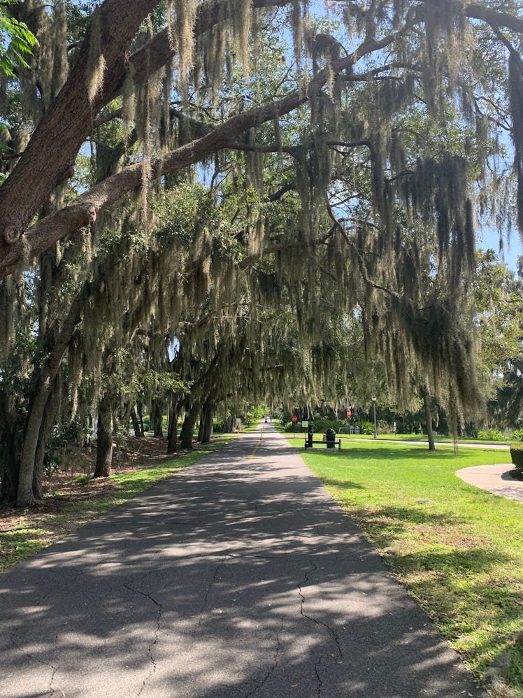 West Orange Trail Oakland park,  which is one of the most walkable cities in Florida.